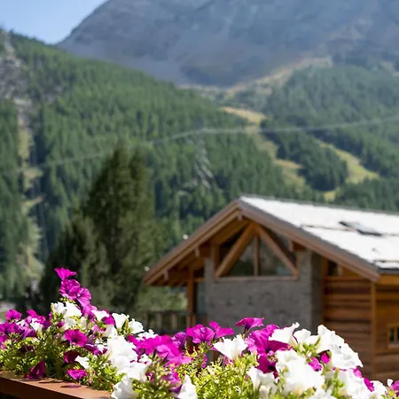 Appartement Haus Avalanche