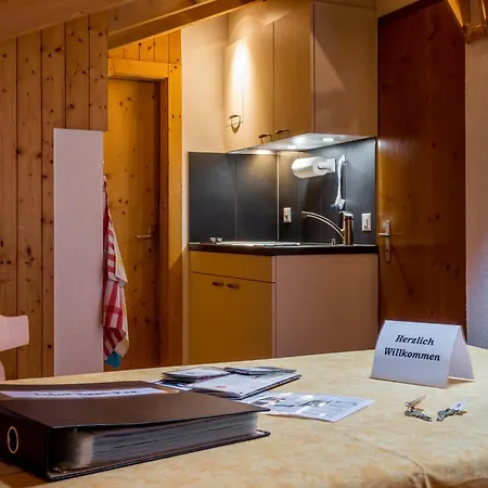 Apartment Haus Avalanche Saas-Fee